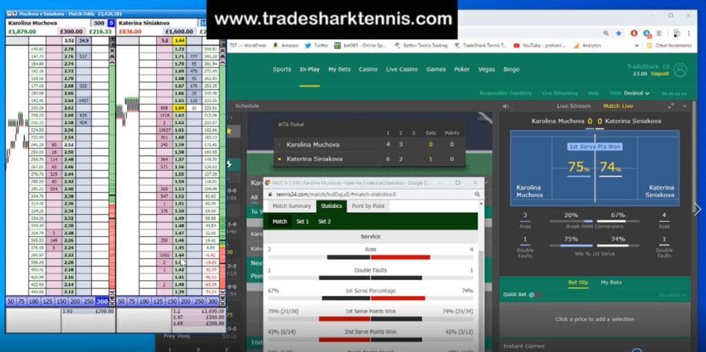 Betfair Low Risk Tennis Trading Course. Learn how to trade tennis for profit.