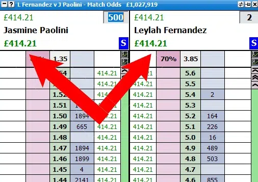 Tennis Trading Profits