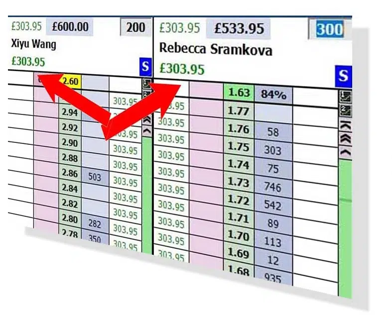 Tennis Trading Profit